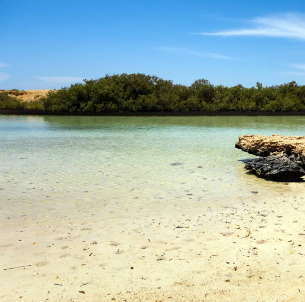 istock Ras Mohammed Mangrove Channel sandstone cliffs Egypt. 1201820472