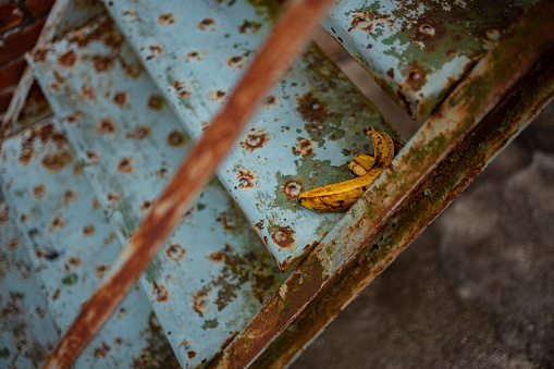 A discarded banana peel, left on a rusty, blue stair of a fire escape, photographed with low depth-of-field.