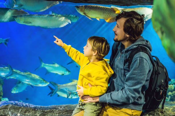 pai e filho olham para os peixes no aquário no oceanário - tropical climate family relaxation men - fotografias e filmes do acervo