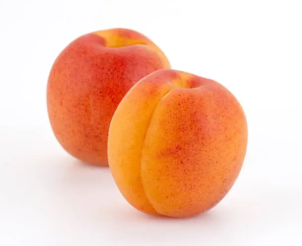 Apricot pair on white background