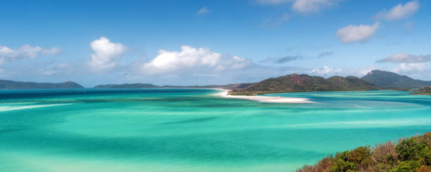 istock Panoramic view of beautiful tropical beach 1201827255