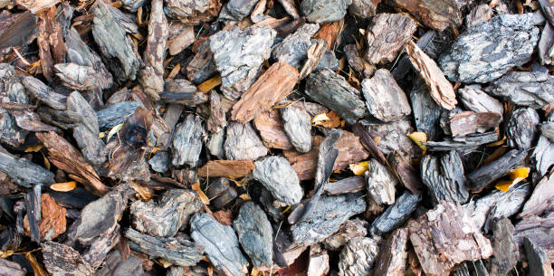istock Woody background, backdrop of shredded pieces of tree bark. 1201829546