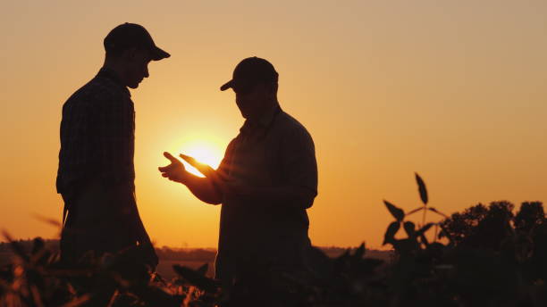 istock A farmer extends his hand for a handshake to a young worker. Standing on a field at sunset - agribusiness concept 1201829623