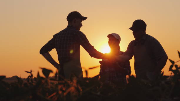 A group of farmers in the field, shaking hands. Family Agribusiness stock photo