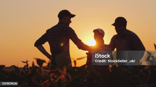 A Group Of Farmers In The Field Shaking Hands Family Agribusiness Stock Photo - Download Image Now