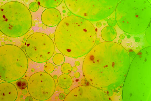 istock green-red virus macro, microscope, coronavirus, bacteria, disease, microorganisms. close-up copy space 1201831654