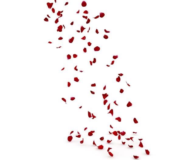 istock Rose petals fall beautifully on the floor 1201833108