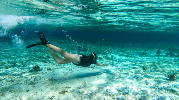 istock Komodo - A woman snorkelling on a coral reef 1201835715