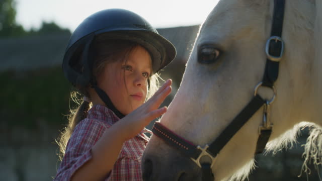 Authentic close up shot of a cute little girl with a jockey helmet is caressing a white pony horse at riding stable with a sunshine
