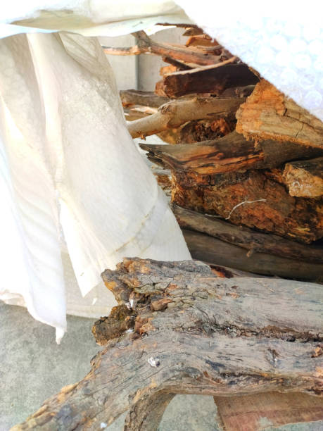 istock Wooden logs keep in store room 1201849028