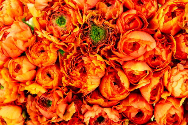 istock Close up flower bouquet 1201849274