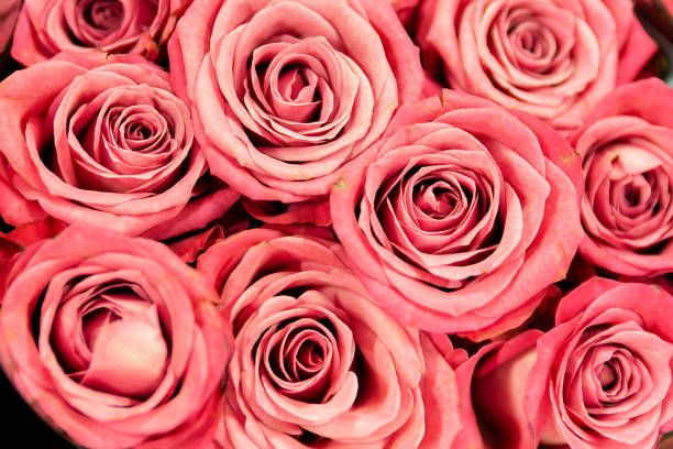 Close up flower bouquet stock photo