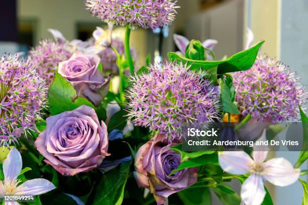 Close Up Flower Bouquet Stock Photo - Download Image Now - Arrangement, Backgrounds, Beauty