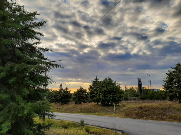 istock road in the countryside 1201853882