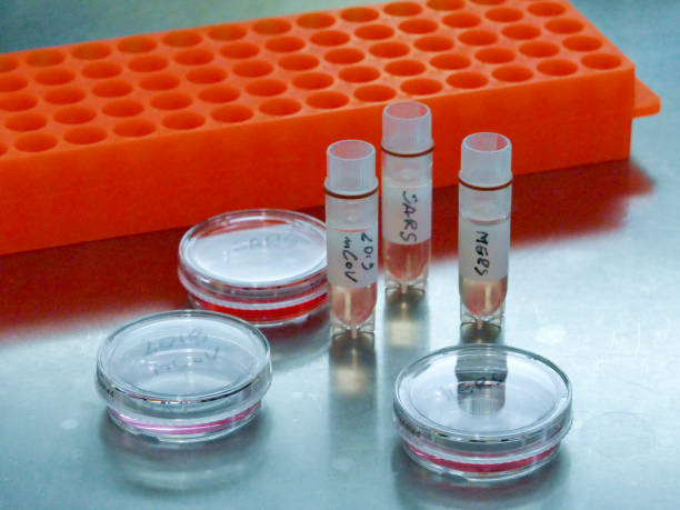 istock New coronavirus 2019-nCoV in laboratory 1201855860