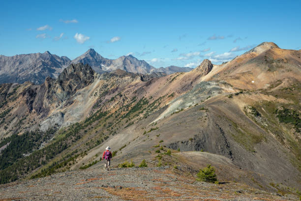 British Columbia, Canada - September 5, 2019: A panoramic view of mountain peaks with a hiker walking along a ridge. This photo was taken in the Purcell Mountains in southeastern British Columbia, Canada.