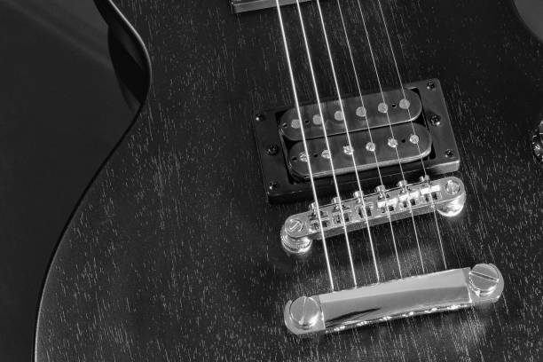 istock Poster, guitar, steel bridge, silver strings, black case 1201858488