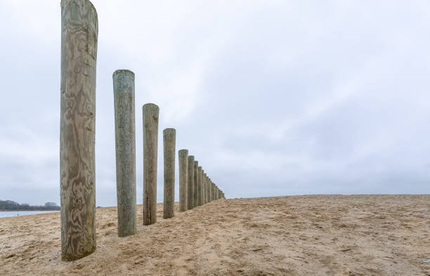 istock Pole heads of wave breakers on the sandy beach under a cloudy sky 1201860004