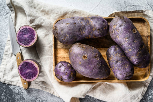 istock vitelotte raw potato on a chopping Board. Gray background. Top view. Space for text 1201861931