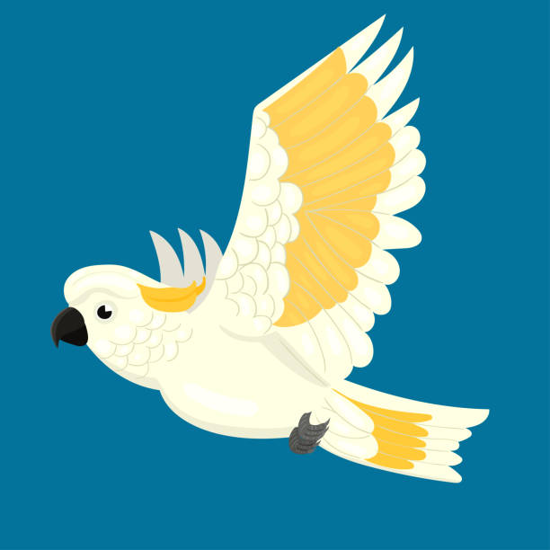 kakadu papagei im flug auf blauem hintergrund. vektorgrafiken. - cockatoo stock-grafiken, -clipart, -cartoons und -symbole