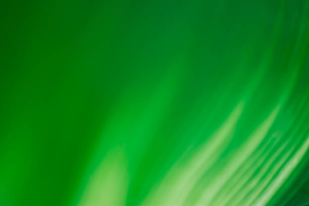 istock Abstract floral blurred background. Tropical palm leave backdrop 1201863791