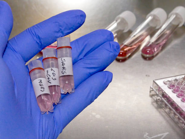 istock New coronavirus 2019-nCoV in laboratory 1201866595