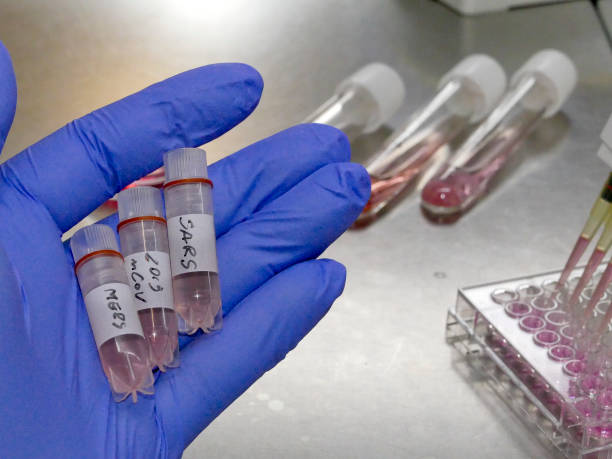 istock New coronavirus 2019-nCoV in laboratory 1201866662