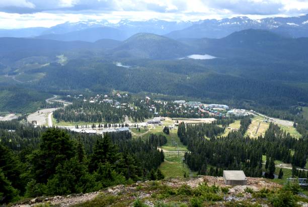 istock high angle view at the slopes at Mount Washington, Summer 1201866984
