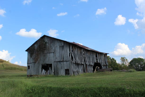 istock Weathered Wood on an Abandoned Barn Against Blue Skies 1201867342