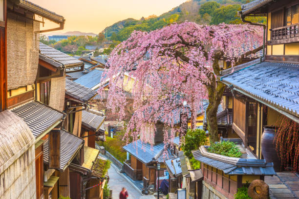 istock Kyoto, Japan Old Town in Spring 1201869535