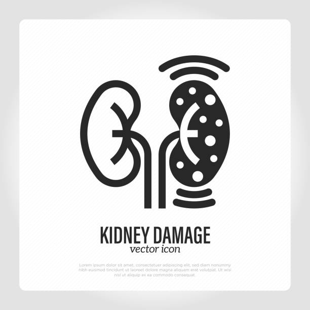 Kidney damage thin line icon. Healthcare and medical vector illustration. vector art illustration