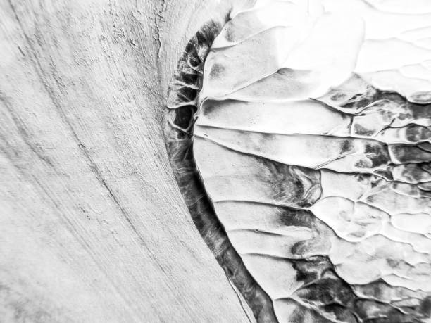 istock The black white acrylic painting texture background 1201875038