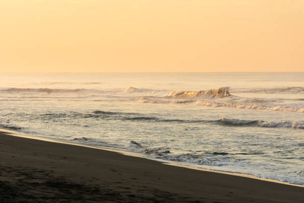 istock The beach in pascuales. 1201877945