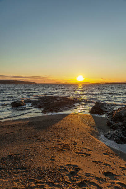 istock Blurred sunset over a landscape with seaweed in the foreground 1201888135