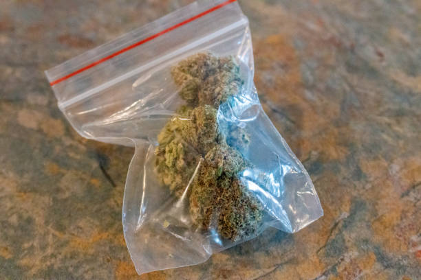 Small bag filled with marijuana buds. Theme of drug dealing or buying marijuana for recreational usage stock photo