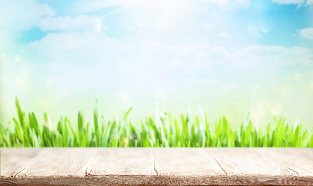 istock Wooden table and blurred green spring or summer background 1201892397