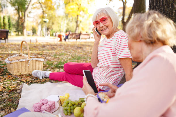 istock Cheerful old friends relaxing during their picnic 1201893307