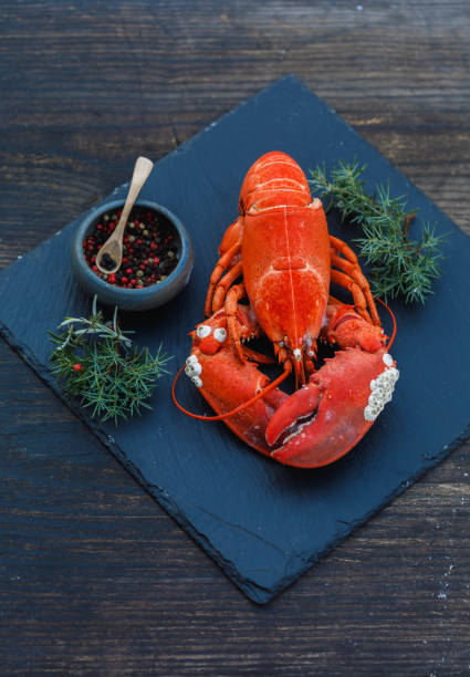 istock Solted Boiled lobster on Classic blue background 1201893325