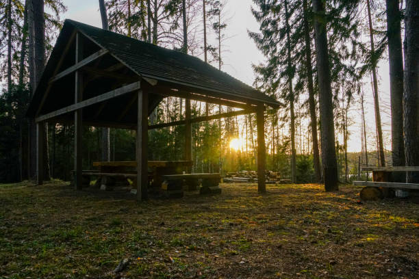 istock Resting place in the forest in Latvia 1201894831