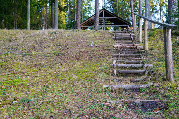 istock Resting place in the forest in Latvia 1201894858
