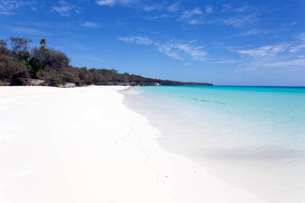 istock The beautiful beach in Ouvea island 1201895072
