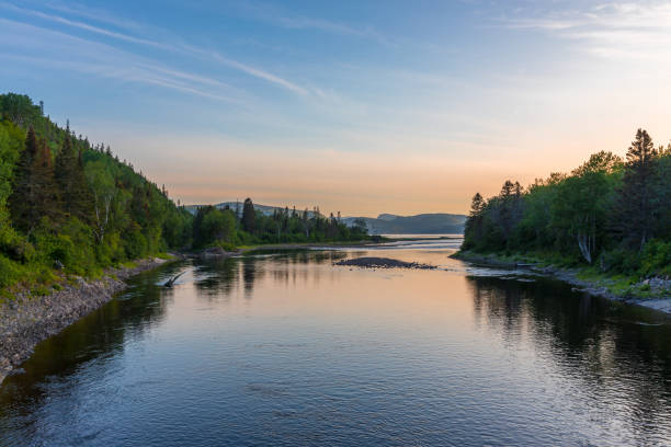 ste-marguerite river in summer in saguenay lac saint-jean, quebec - saguenay imagens e fotografias de stock