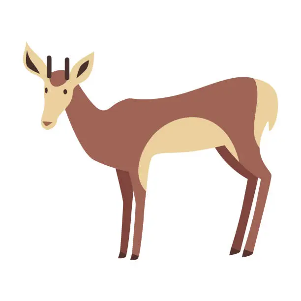 Vector illustration of Young Deer Vector Illustration in Flat Design