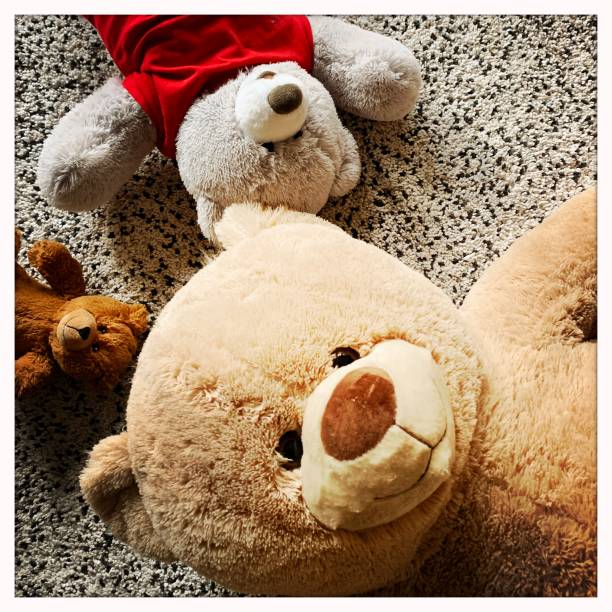 Different size teddy bears