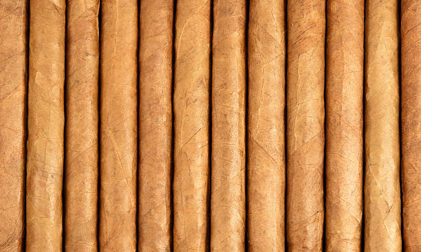 istock Row of cuban cigars 120191050