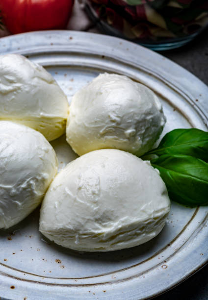 istock Cheese collection, balls Italian soft white cheese mozzarella 1201931348