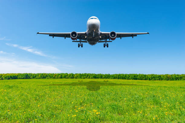 istock Landing of the passenger plane. 1201933106