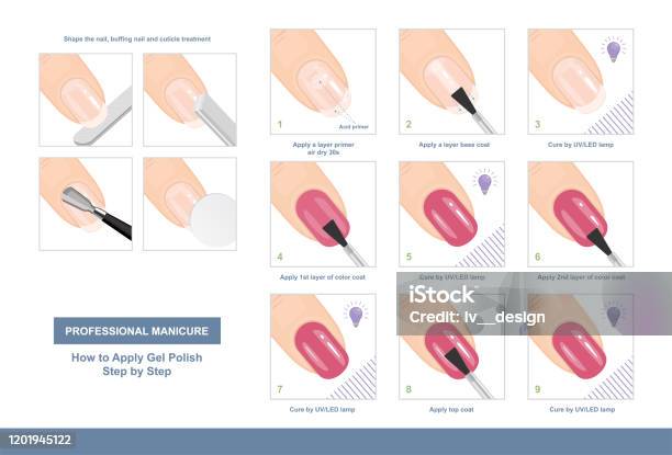How To Apply Gel Polish Step By Step Professional Manicure Tutorial Vector  Illustration Stock Illustration - Download Image Now - iStock