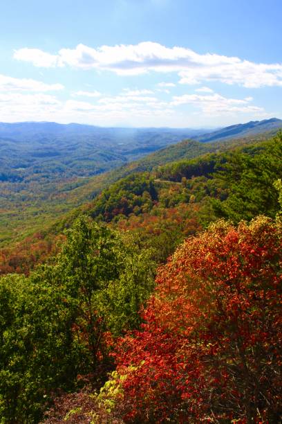 istock Fall in the Mountains at Foothills Parkway 1201946335