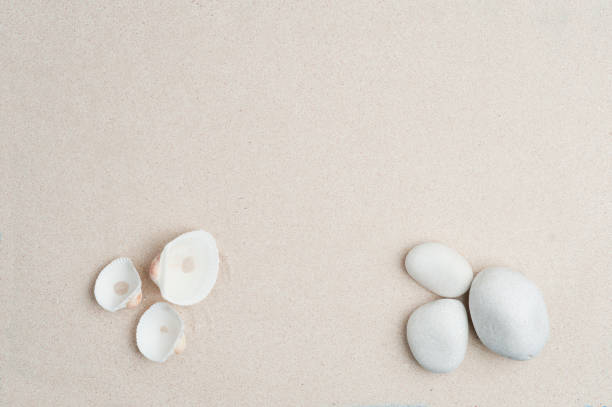 istock set stones and shells with sand, white shells color, white stones with sand background, top view 1201950399